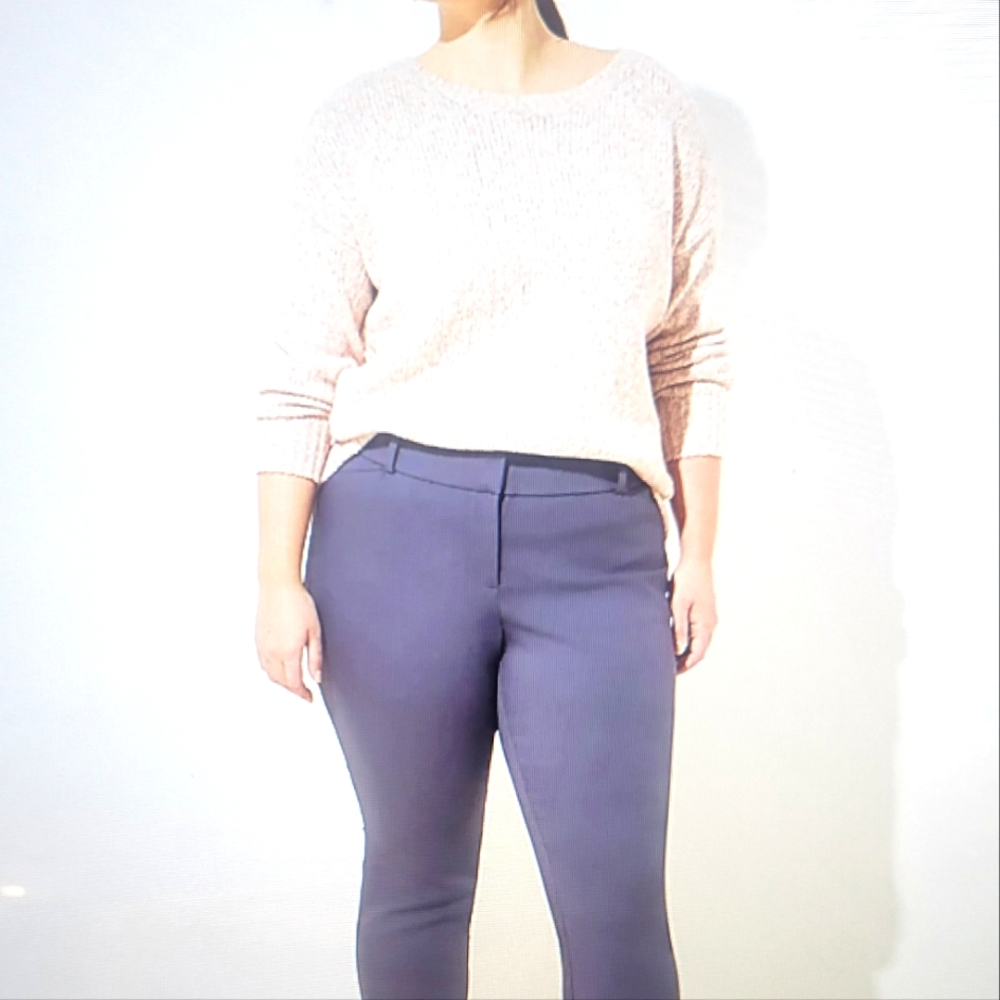 Loft Plus Skinny Ankle Pants